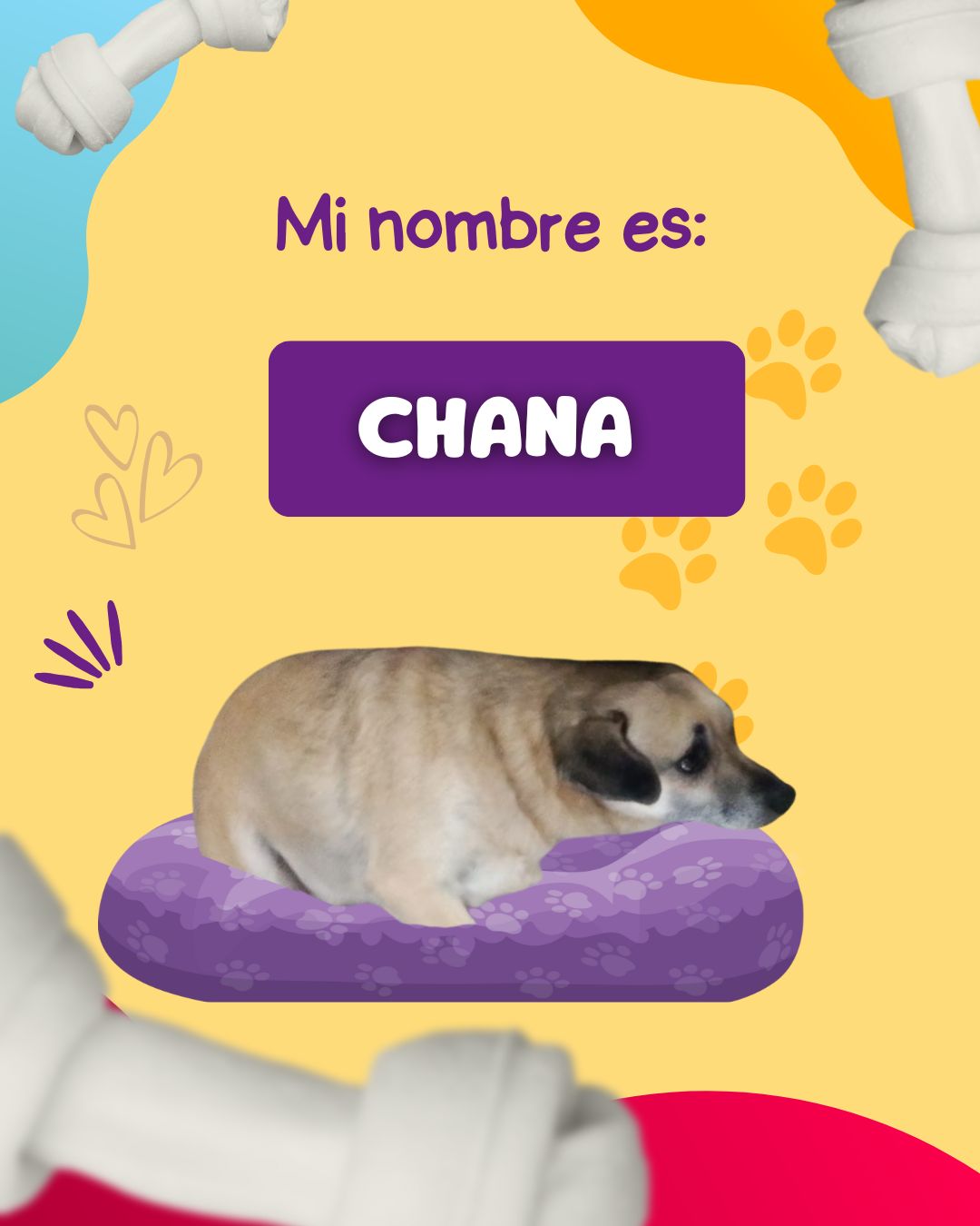 Imagen de Chana